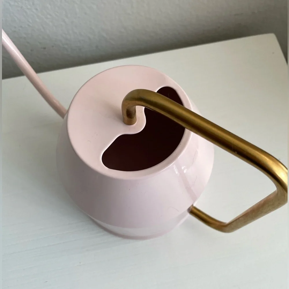 IKEA Vattenkrasse Pink Watering Can | Discontinued Color